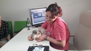 Adriana cabinet veterinar