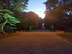 Parcul central târgu jiu