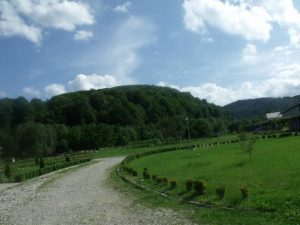 Intrare la biserica Pacea lumii - Bucium